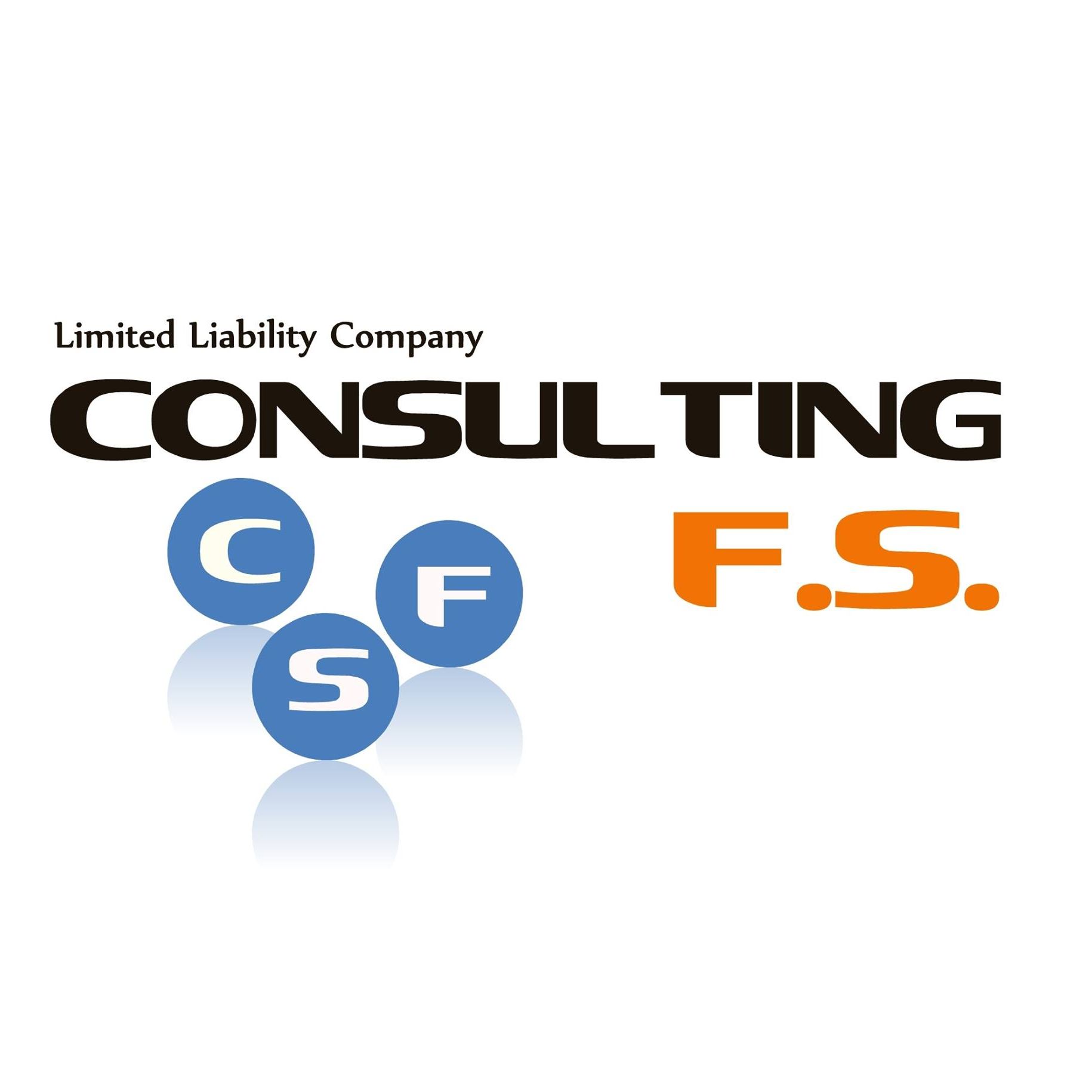 Consulting Fs Ltd