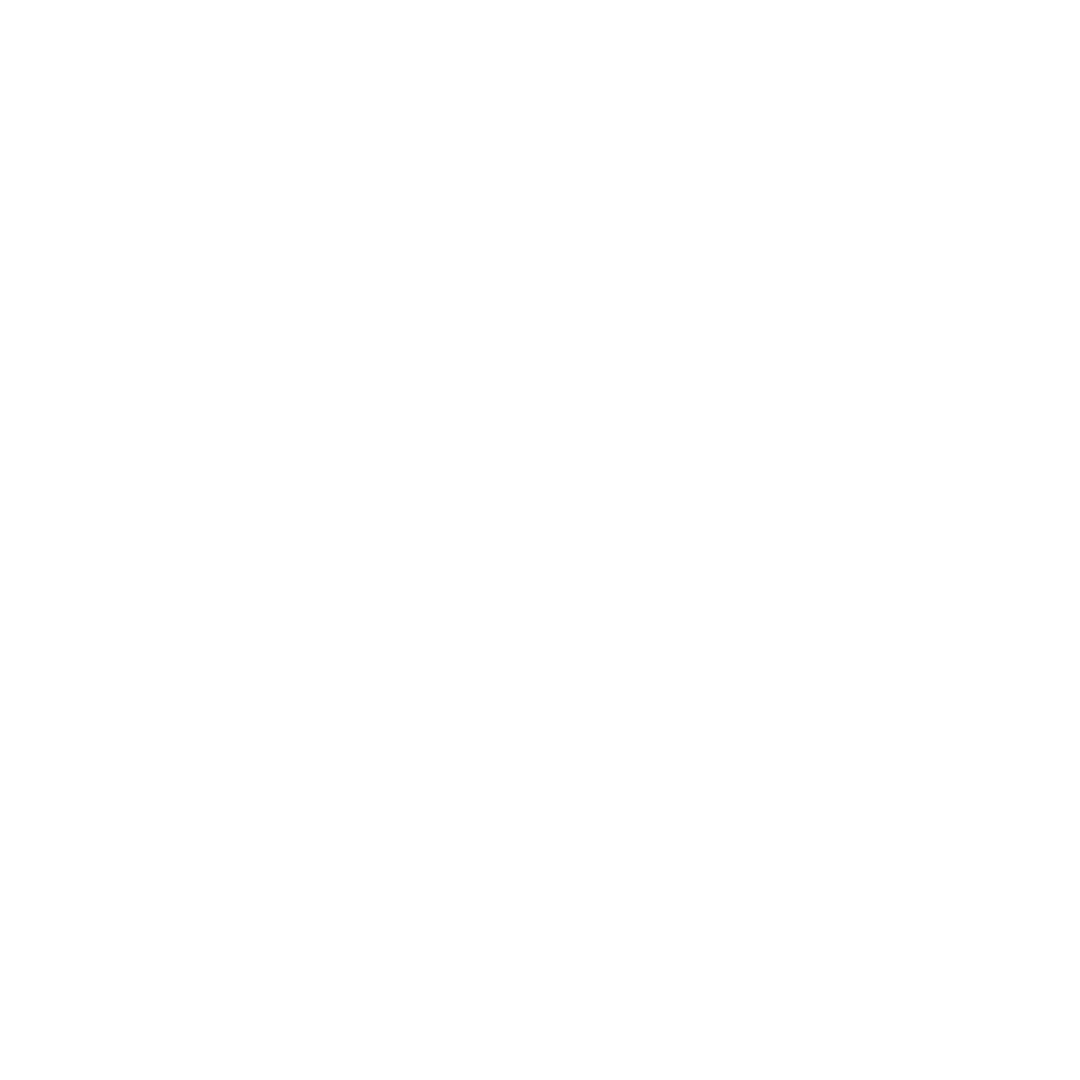 C4 Partners