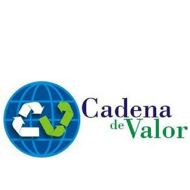 Cadena de Valor Consultora Integral de Empresas