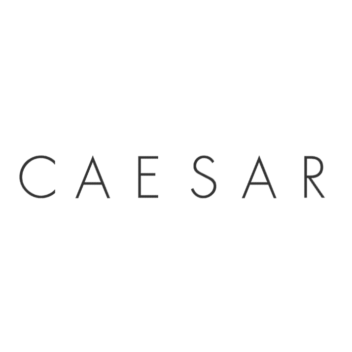 Caesar Development