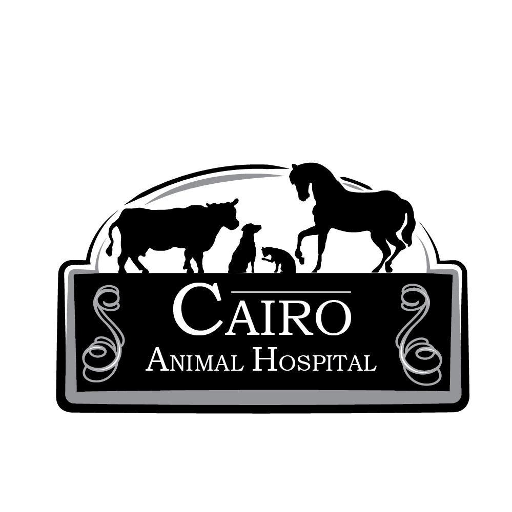 Cairo Animal Hospital