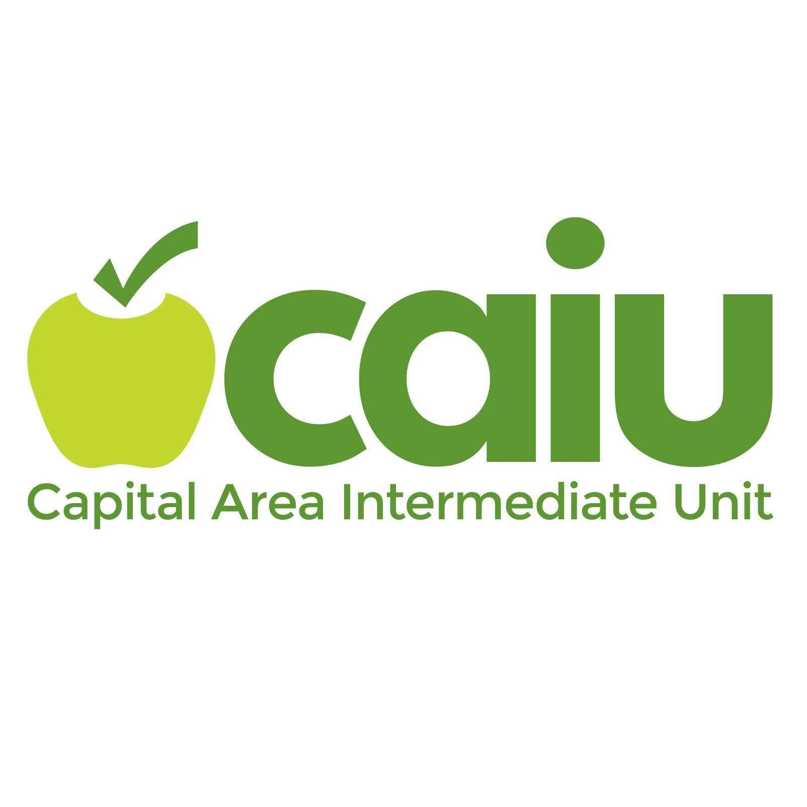 The Capital Area Intermediate Unit