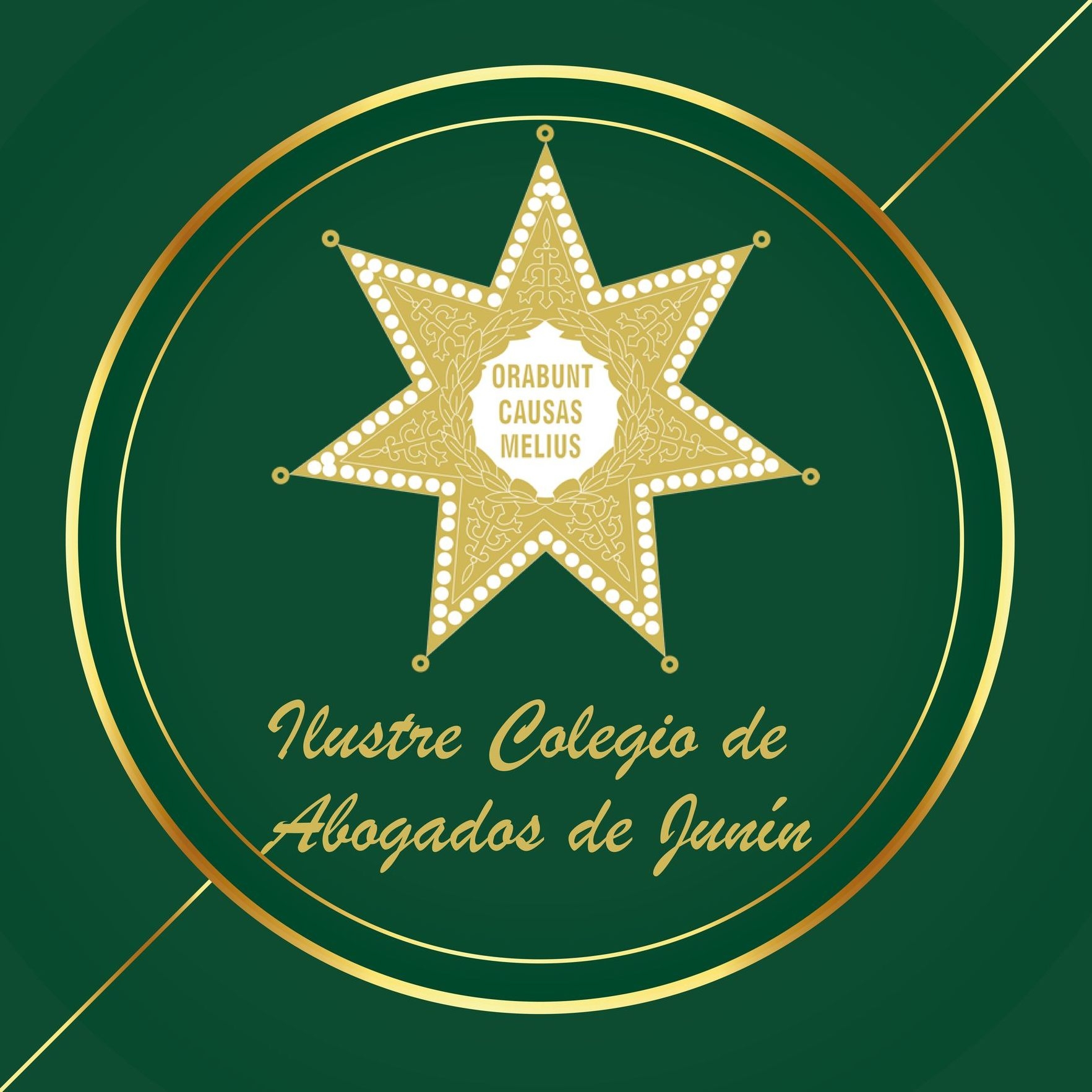 Ilustre Colegio De Abogados De Junín