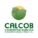 Calcob