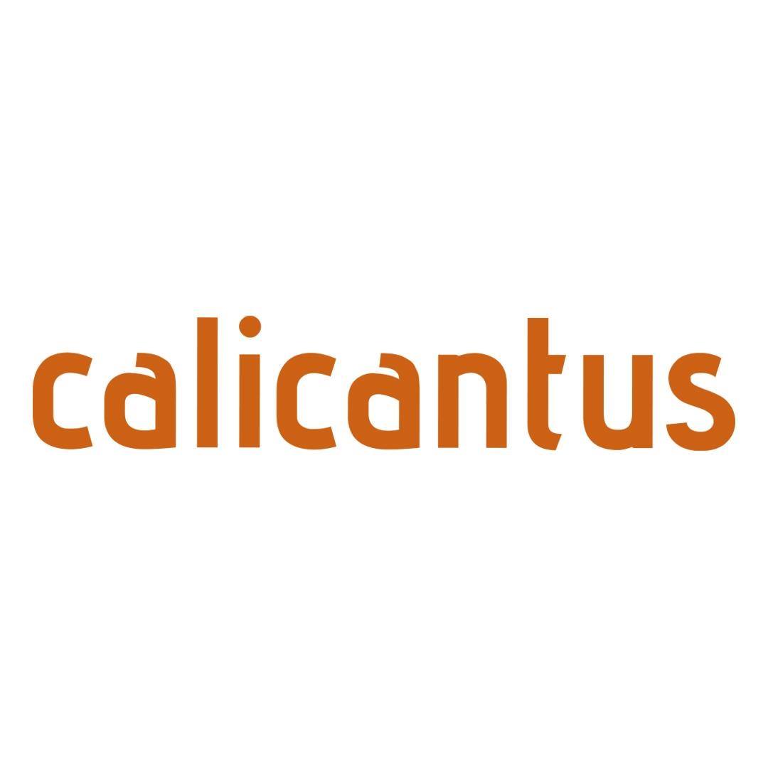 Calicantus S.r.l