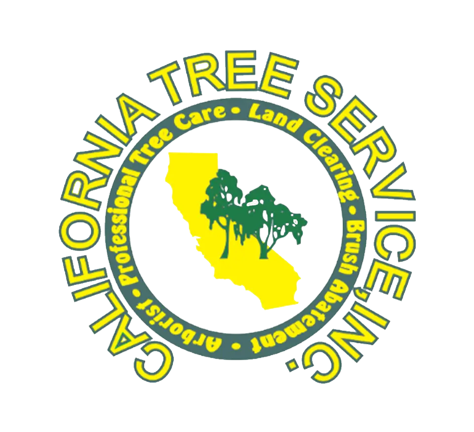 California Tree Service