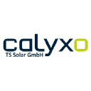 Calyxo