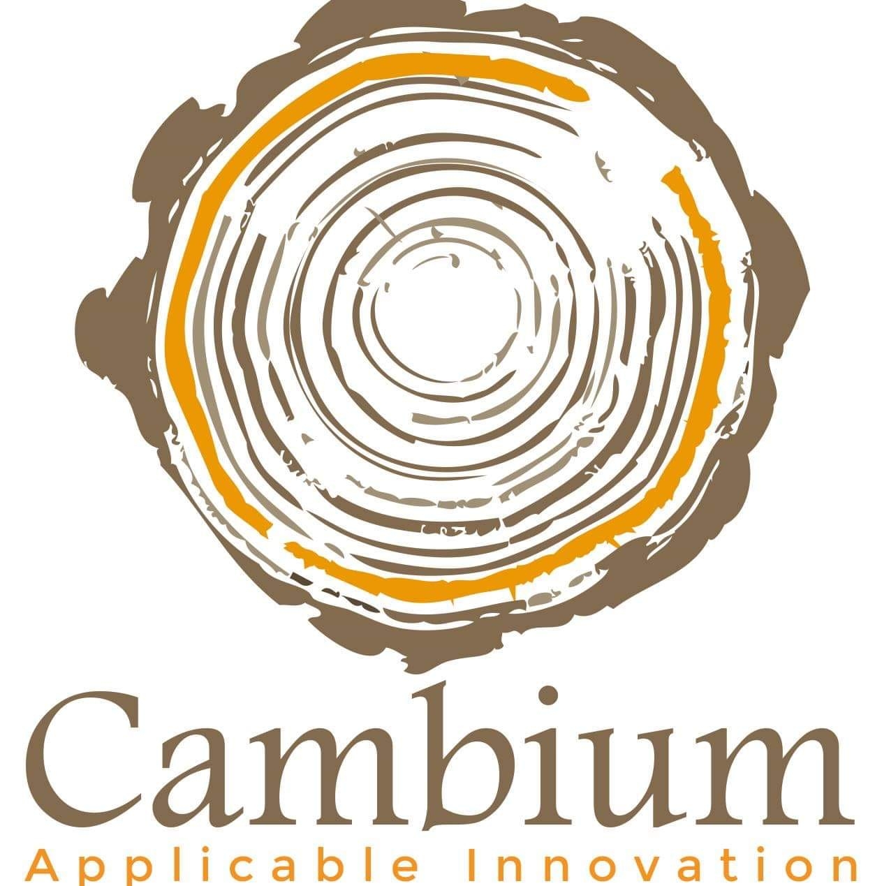 Cambium