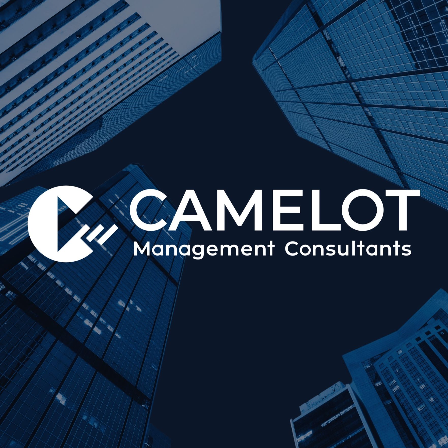 CAMELOT Management Consultants