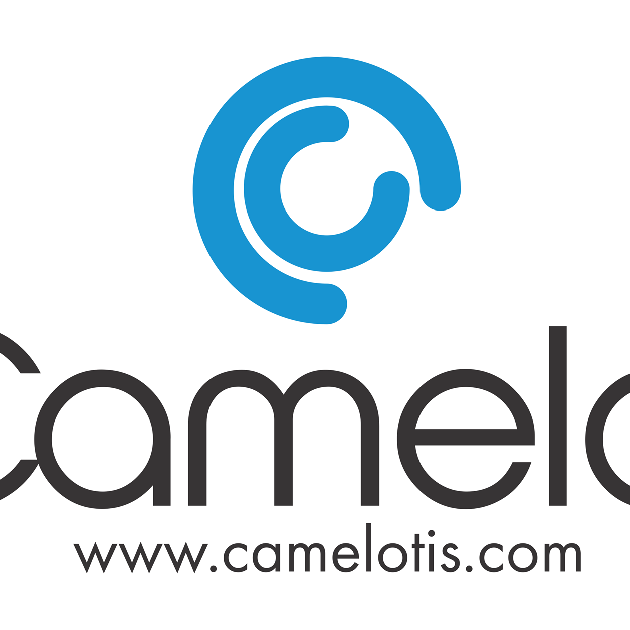 Camelot Integrated Solutions