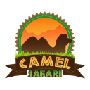 Camel Safari