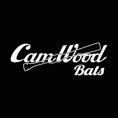 CamWood Training Bats