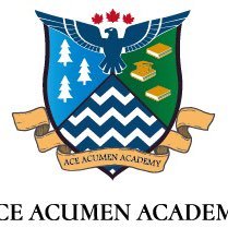 Ace Acumen Academy