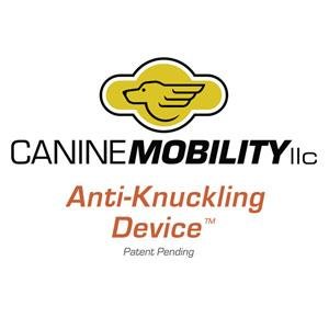 Canine Mobility