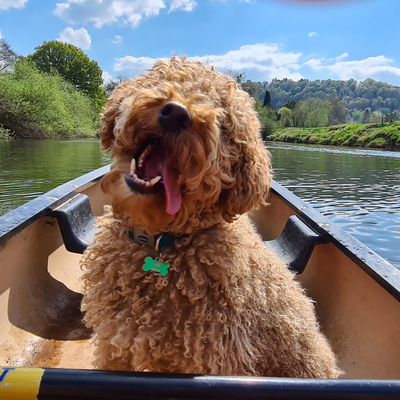 Symonds Yat Canoe Hire Limited