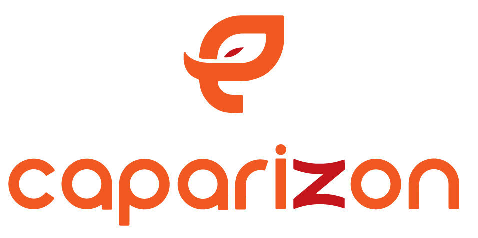 Caparizon Software Private