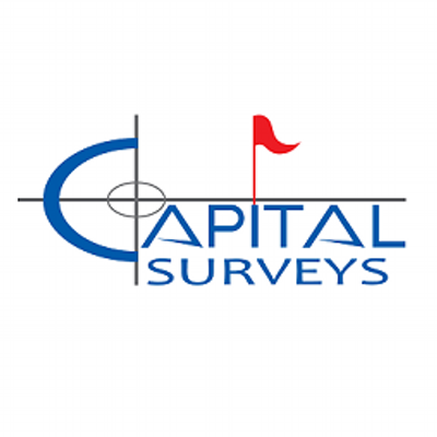 Capital Surveys