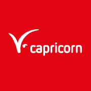 Capricorn Consulting Gmbh