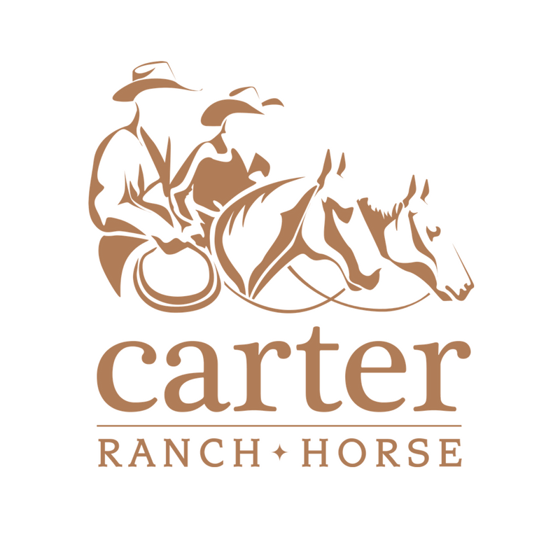 Carter Ranch Horse