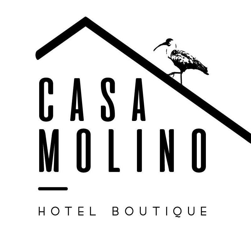 Hotel Casa Molino