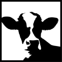 Cash Cow Farmers Werbeagentur