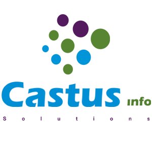 Castus Info Solutions