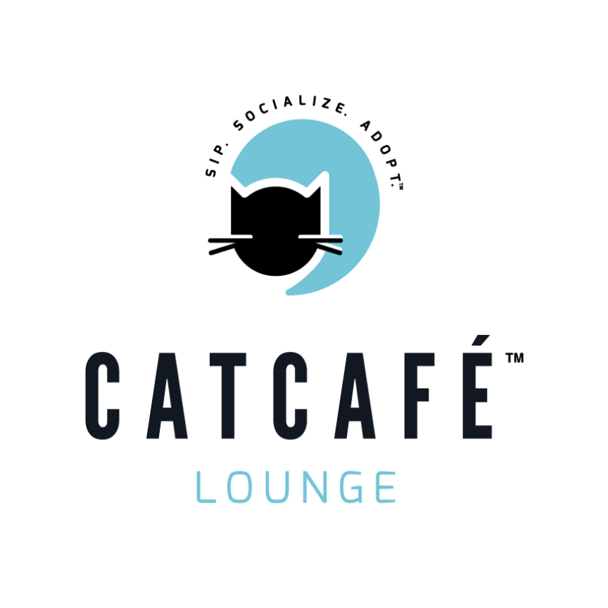 The CatCafe Lounge