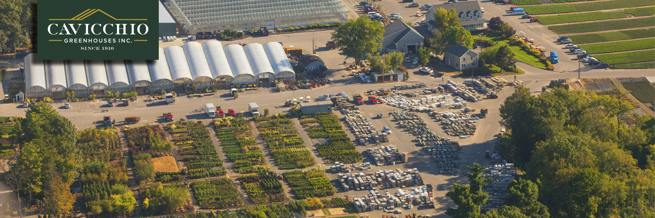 Cavicchio Greenhouses