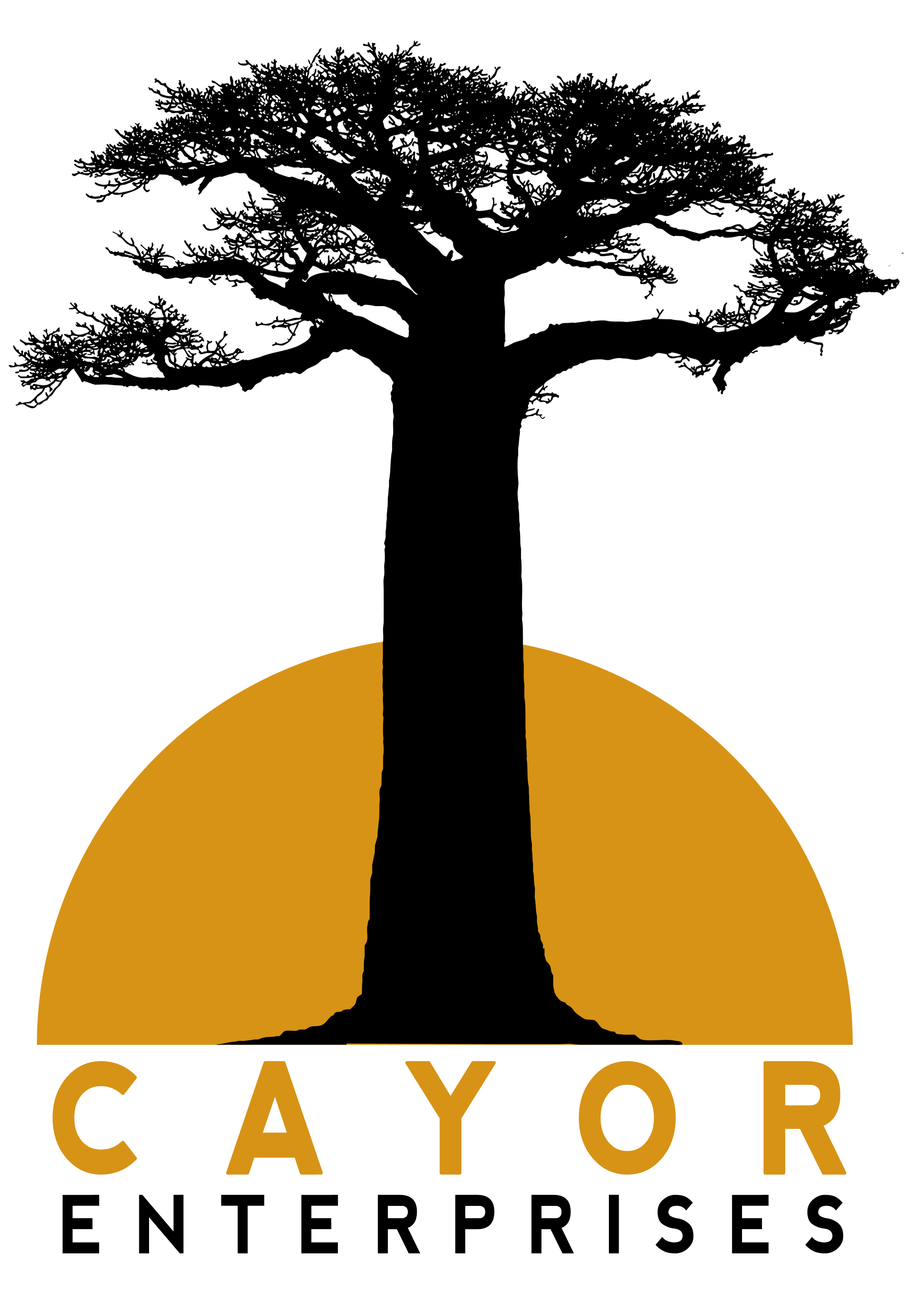 Cayor Enterprises Ltd.