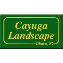 Cayuga Landscape