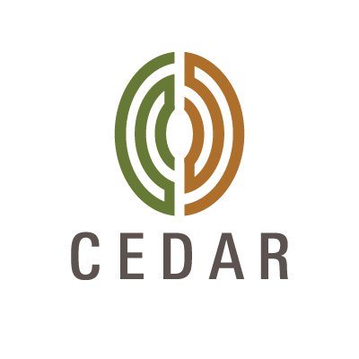 Cedar