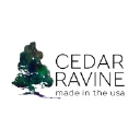 Cedar Ravine