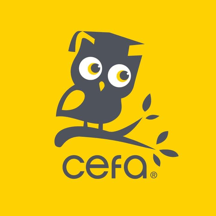 CEFA Systems