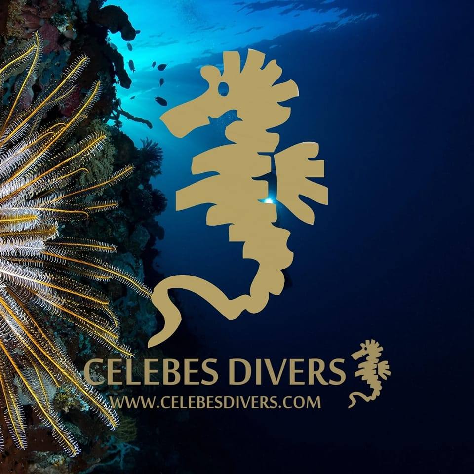 Celebes Divers