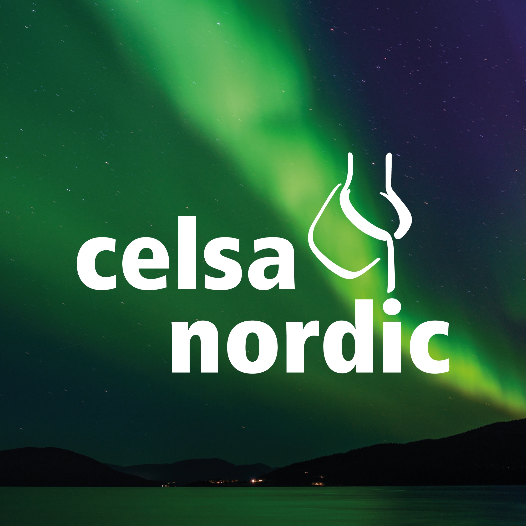 CELSA Nordic Holdings