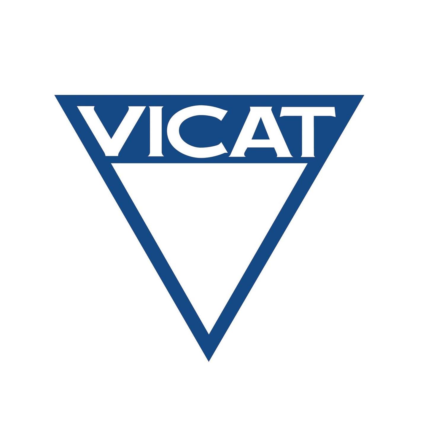 Vicat Group   Cemento Natural