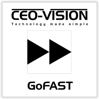 CEO-Vision S.A.S