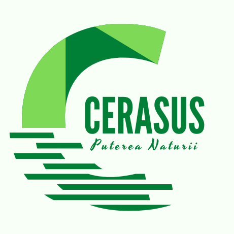 Cerasus