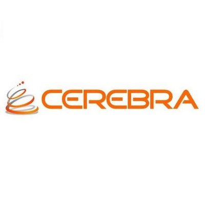 Cerebra Consulting