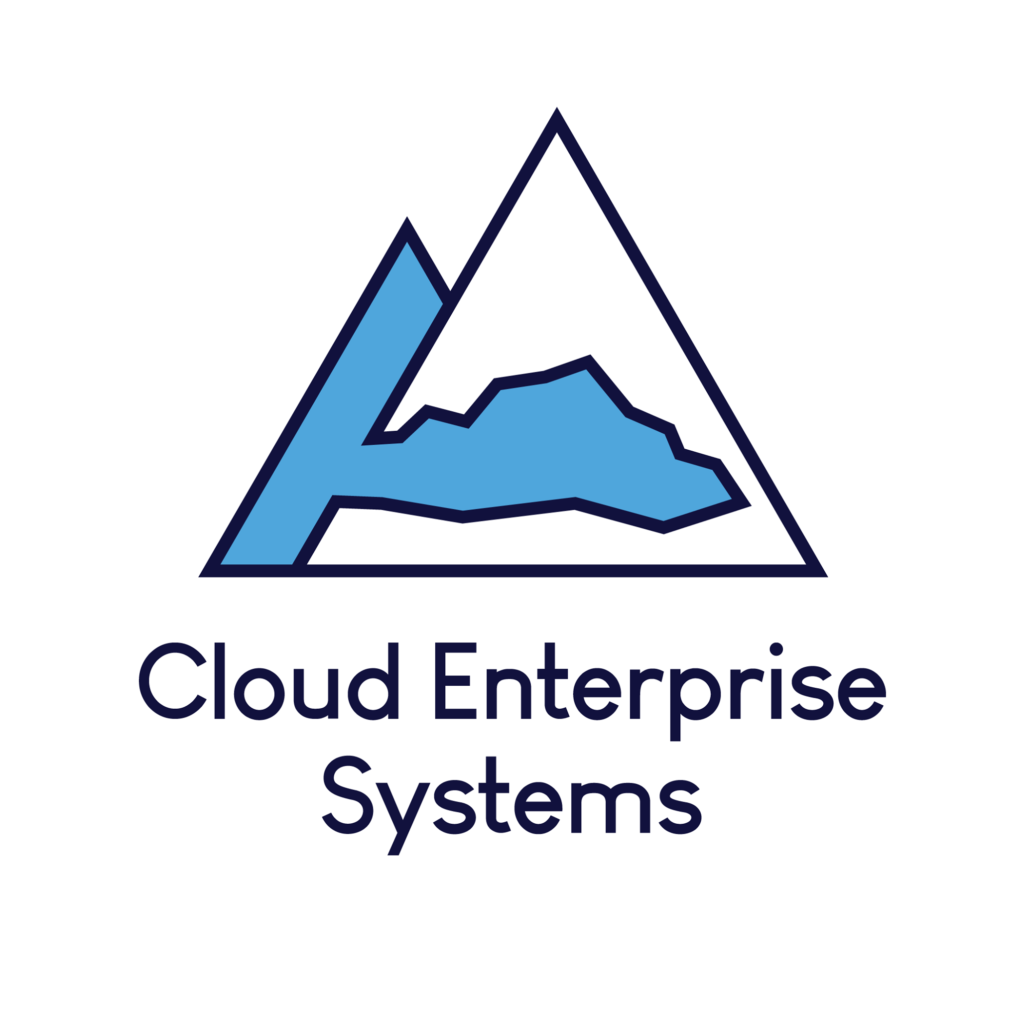 Cloud Enterprise Systems