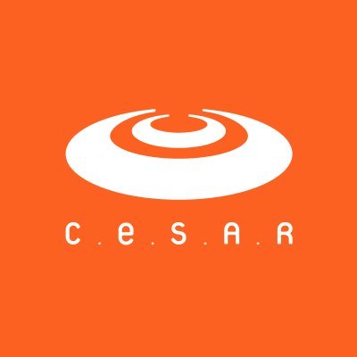 CESAR School