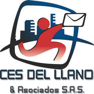 CES del Llano y Asoc. S.A.S