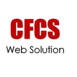 Computer Frontline Consultancy Services