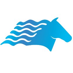 Charger Water Treatment Products Logo