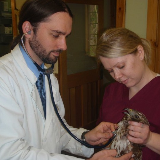 Cheat Lake Animal Hospital