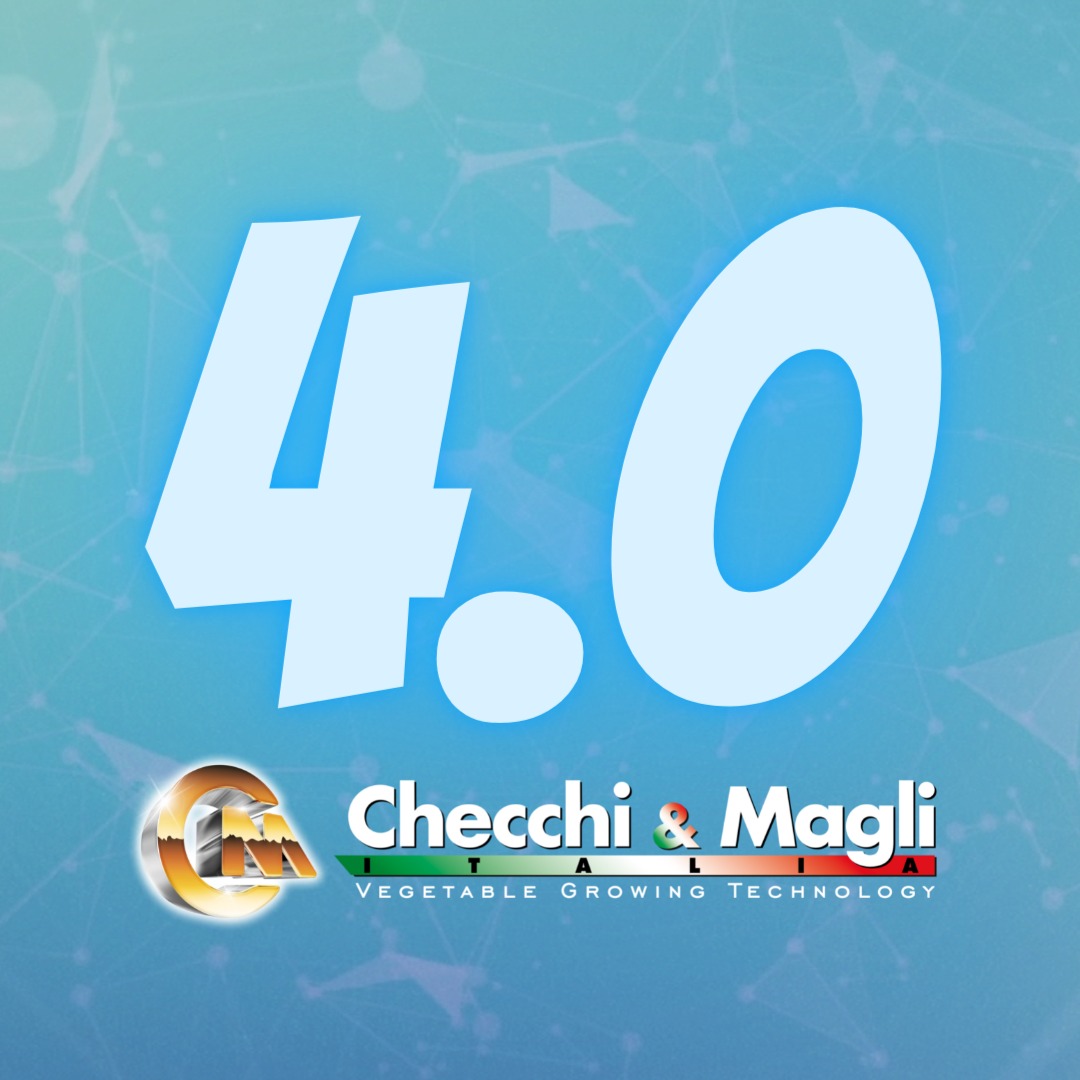 The Checchi & Magli