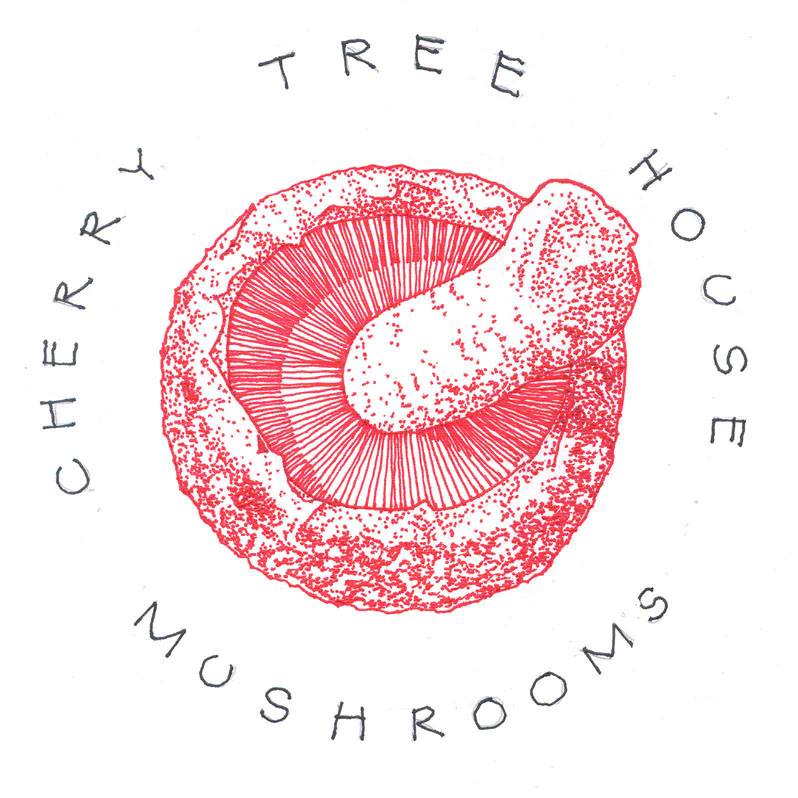 Cherry Tree House Mushrooms