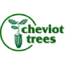 Cheviot Trees