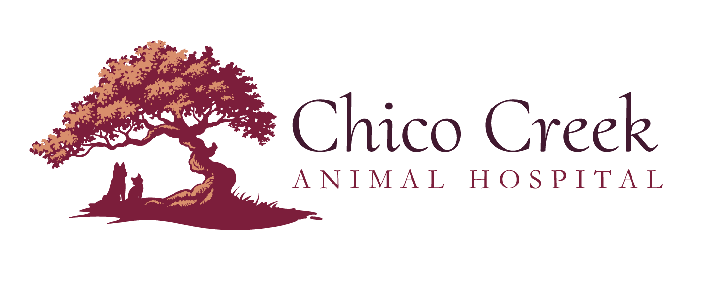 Chico Creek Animal Hospital