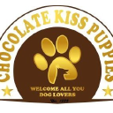 Chocolate Kiss Puppies